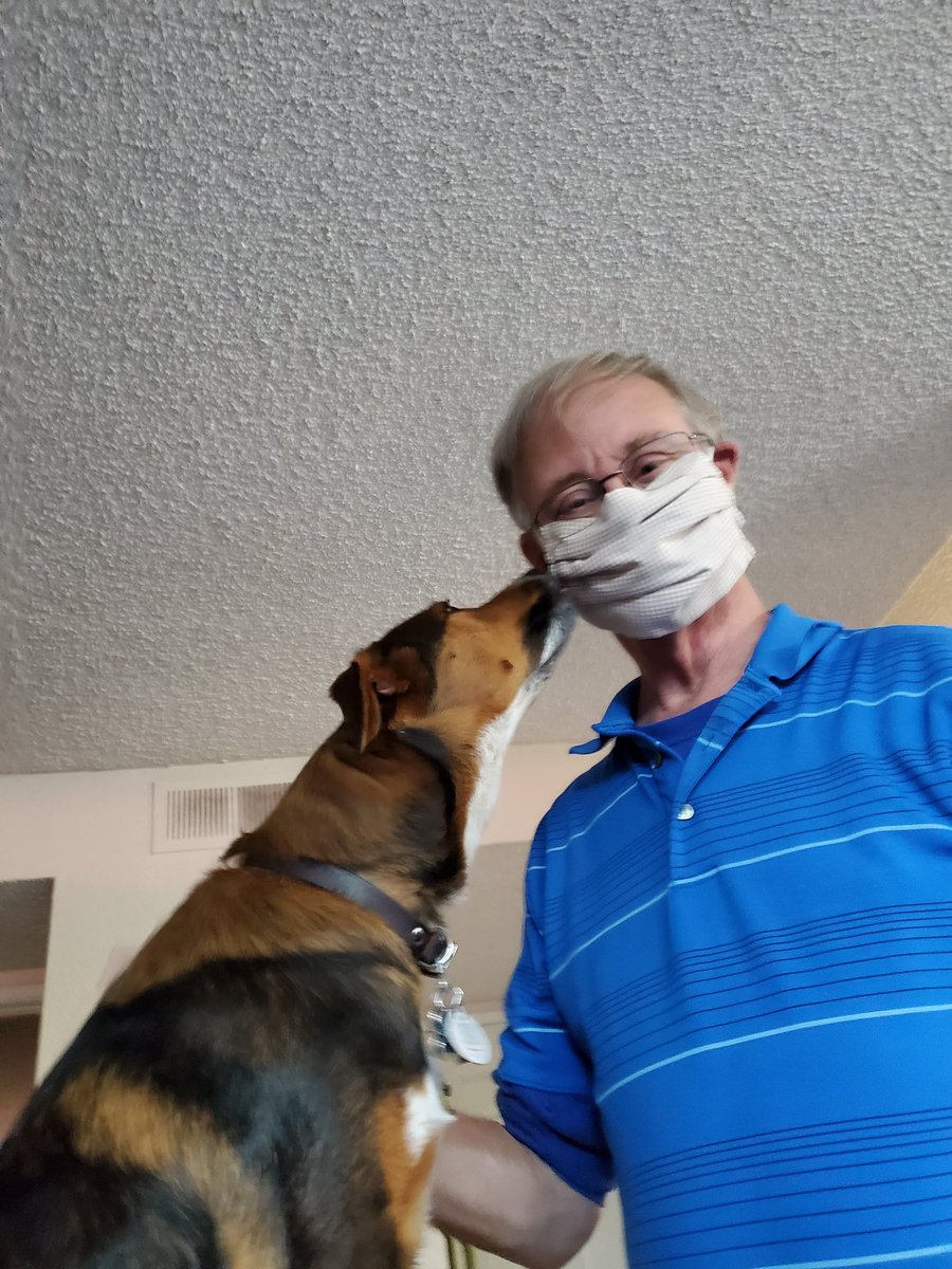 RaphaelD2022's tweet photo. The mask doesn't fool anyone. 
#PawsitiveEffects https://t.co/cT4ESPhOqX