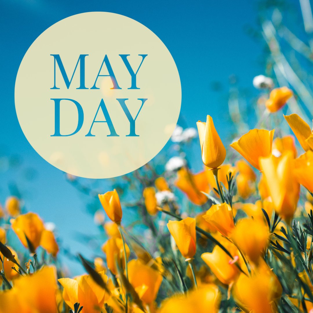 🌸May Day is a public holiday usually celebrated on May 1. It is an ancient festival of Spring and a current traditional spring holiday in many European cultures. Dances, singing and cake are usually part of the festivities. 
#MayDay #Spring  #Europeanculture