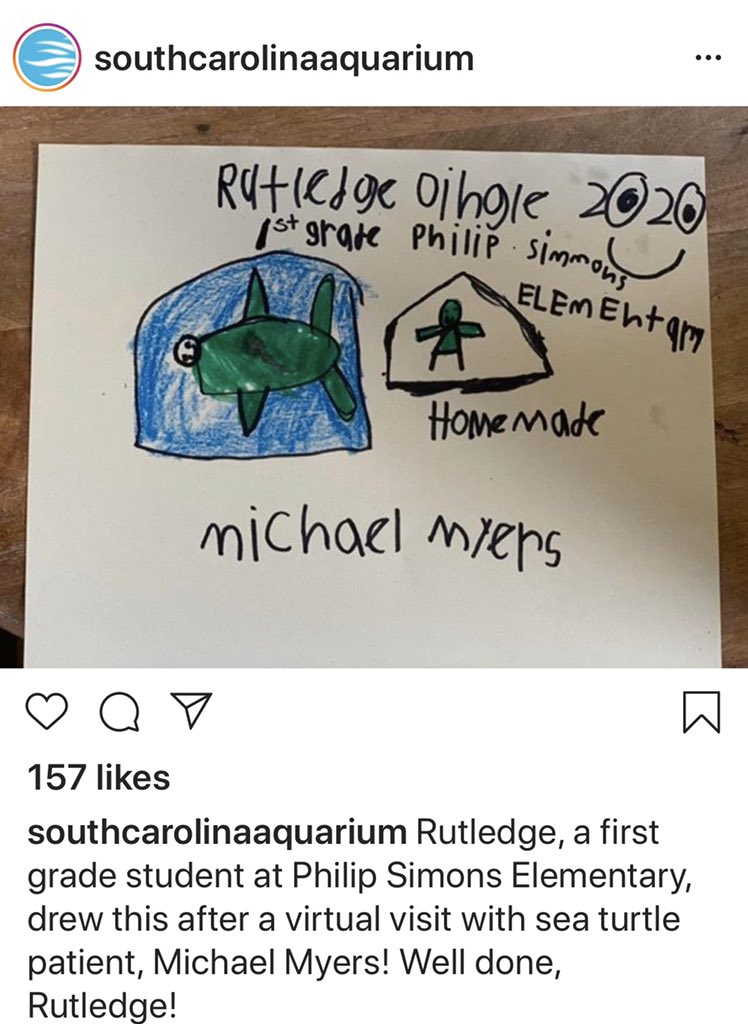 MsRosie_library's tweet photo. Our very own Rutledge has been showcased at the @SCaquarium after a virtual field trip with first grade. STEAM Learning at home continues! Take a look at his work! Go Rut Go!
 #savetheturtles🐢 #classroomwithoutwalls #psekidselearning #bcsdelearning @BCSDTeachForum @bcsdschools https://t.co/xBkJonsMta