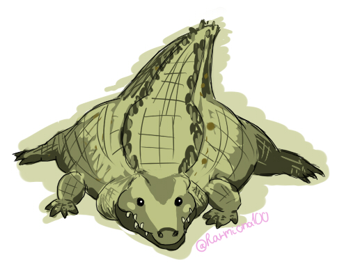 Harmin ꘐ tweet media