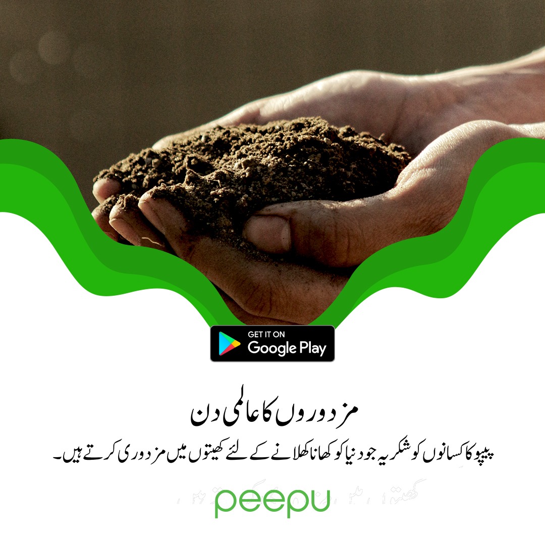 پیپو کا کسانوں اور مزدوورو کو شکریہ.

#agriculture #agri #farming #farmers #crops #agritech #agritrade #Pakistan  #Pakistani #Balochistan #Punjab #KPK

peepu.co