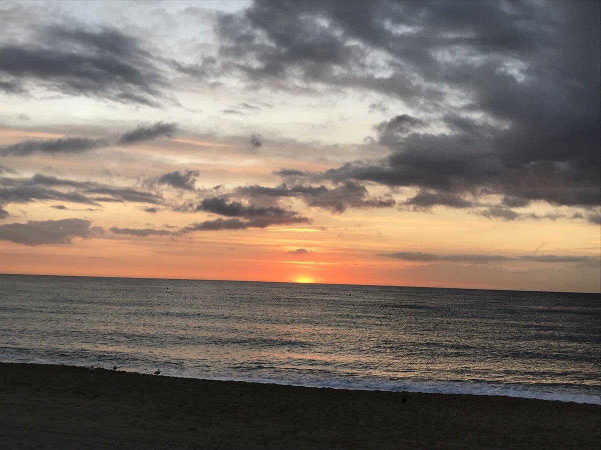 Dr. Suzana Camargo on Twitter "PhotosOfMyLife Day 1 Nominated by