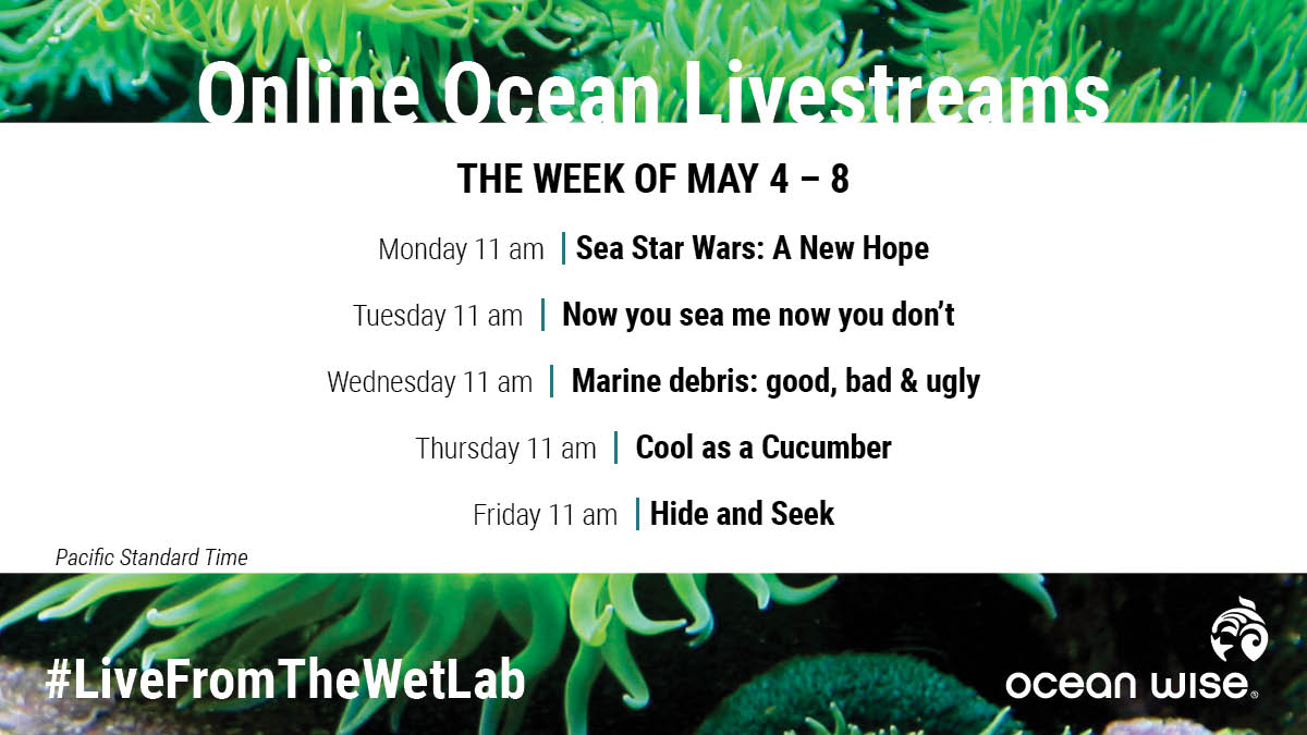 OceanWiseEdu's tweet photo. Happy that it is #Friday but excited for more #LiveFromTheWetLab programs next week? Check out our #SneakPeek 
https://t.co/wMMoSvyc15 https://t.co/wubUjOPdn7