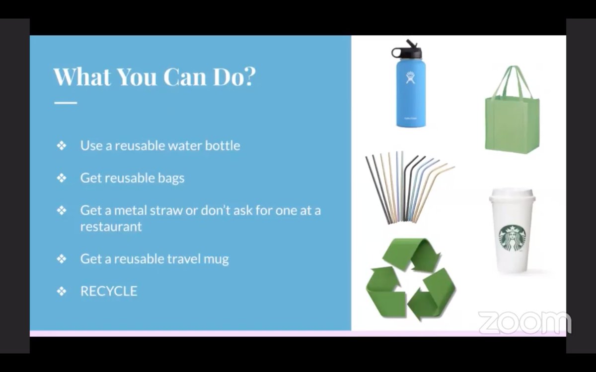 BullisSchool's tweet photo. Bethany Smith took on ocean plastics, describing damage to wildlife &amp; marine ecosystems. She investigated how plastic gets into the ocean in hopes of reducing &amp; preventing ocean pollution.  #BullisRemoteLearning #BullisStrong #Bullis2020 https://t.co/hFvhzzycqb