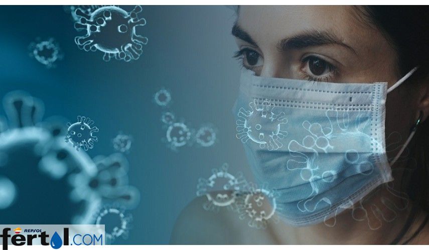 ESFertol's tweet photo. Desinfección por OZONO: Por tu seguridad, por la de los tuyos. #Fertol #Coronavirus #Ozono https://t.co/ymSzl10uZS https://t.co/QTEFicHcA2