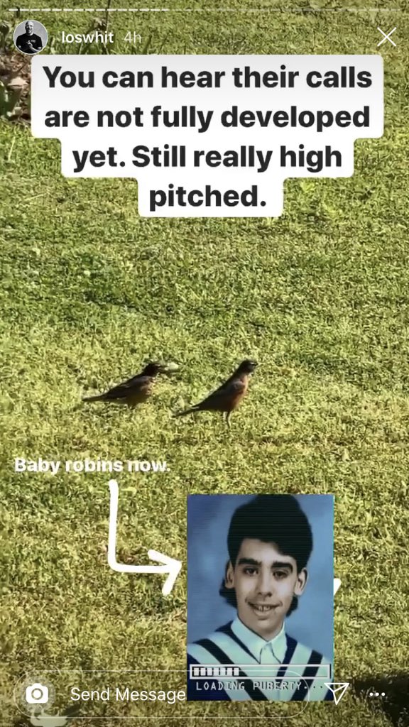 juatisask's tweet photo. @Sid_Seixeiro  hey Sid - @loswhit just used your high school pic in an Instastory about teenager awkward phase Robins and I’m dying 😂🙌🏻😂🙌🏻 https://t.co/JripWkNw1l