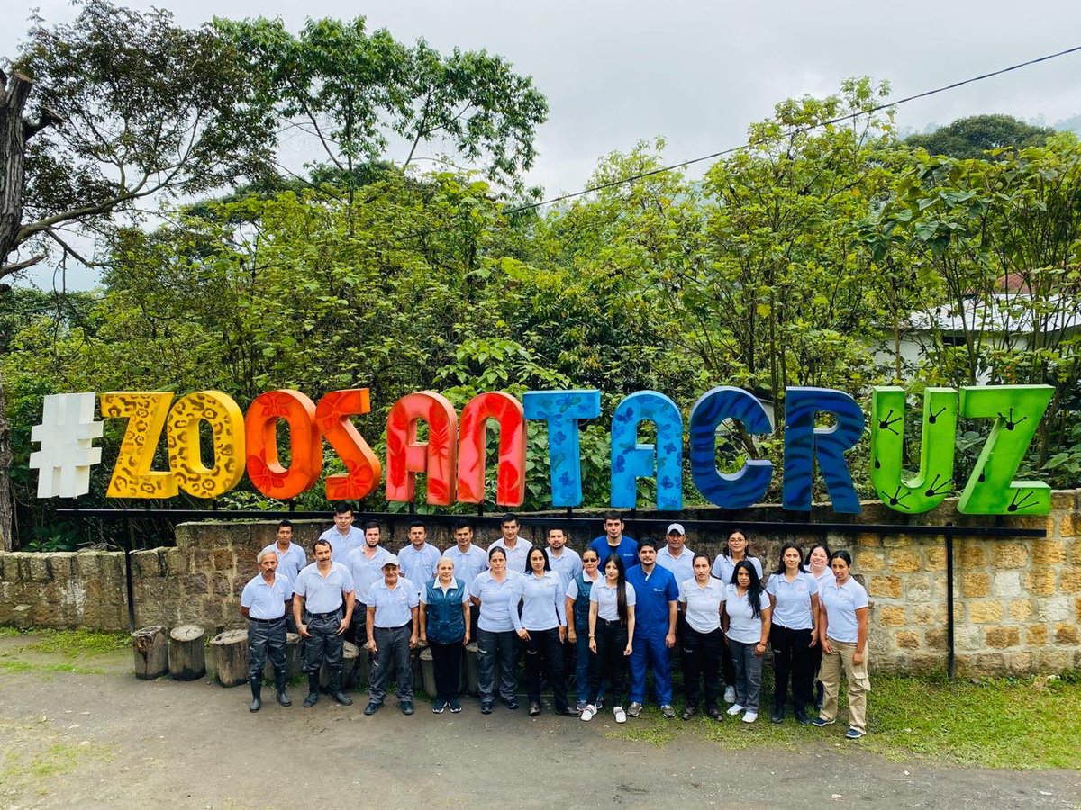 zoosantacruz's tweet photo. Hoy, en el #DiaDelTrabajo agradecemos y damos un aplauso a ese equipo trabajador incansable por la fauna silvestre que se levanta día a día con amor y ánimo a dar lo mejor de sí para cuidar de nuestros 780 animalitos. https://t.co/hVjSqFmcXO