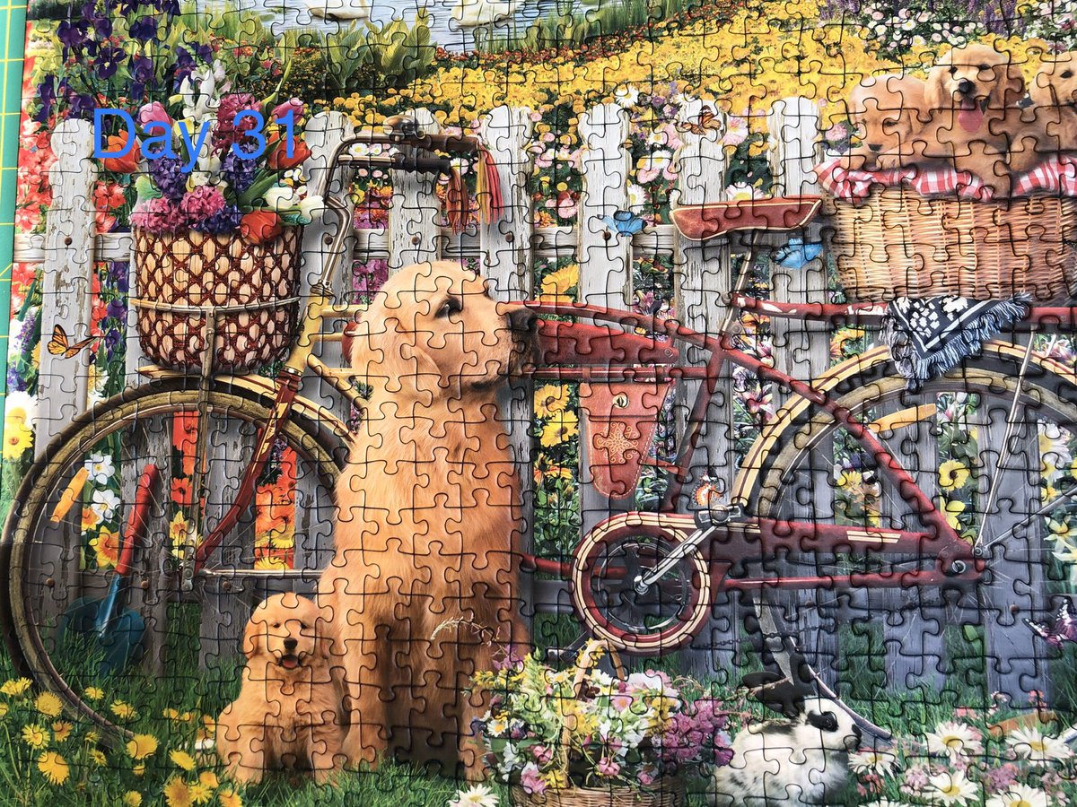 MrsCField1's tweet photo. @Temple_Sutton As the weather hasn’t been great this week my children and I completed a puzzle! What have you all been doing on these rainy days? https://t.co/CqfvxU8cy6