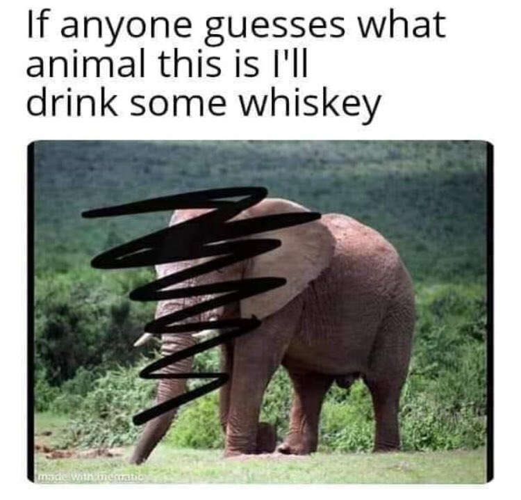Bearded_Fella's tweet photo. 🥃🥃🥃 https://t.co/8WE3nahS0c