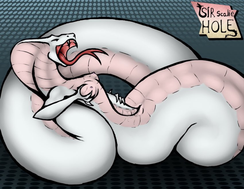 Agent Torque (@agenttorque) on Twitter photo 