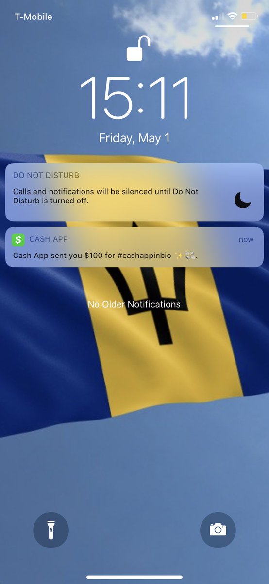 LilKimNiece_'s tweet image. YALLLLLL I JUST WON A @CashApp CONTEST