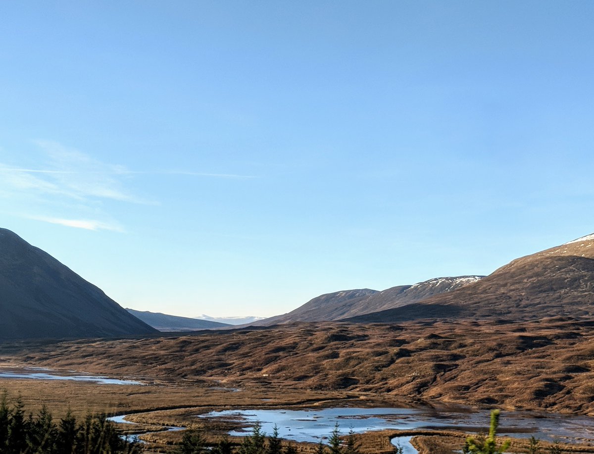 scotruralnet's tweet photo. Our Rural Network Newsletter is now available! In this week's edition read about the First Minister's announcement on expansion to COVID-19 testing in Scotland, the Third Sector Resilience Fund reopening for a second phase and more.

Read it here: https://t.co/69sCHtIpMy https://t.co/n7YFI88HzM