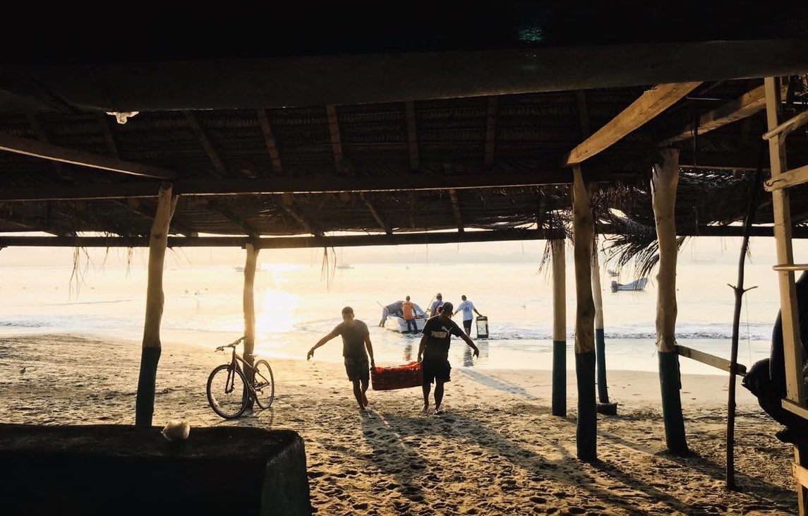 Nunca tuvo el mundo mejor lección viva de la economía real y el valor de la gente que trabaja, hasta hoy que padecemos esta contingencia. No hay subsistencia sin su labor.

¡Gracias en su día trabajadores y trabajadoras de México!

#SaldremosAdelante
#HazloDeCorazón