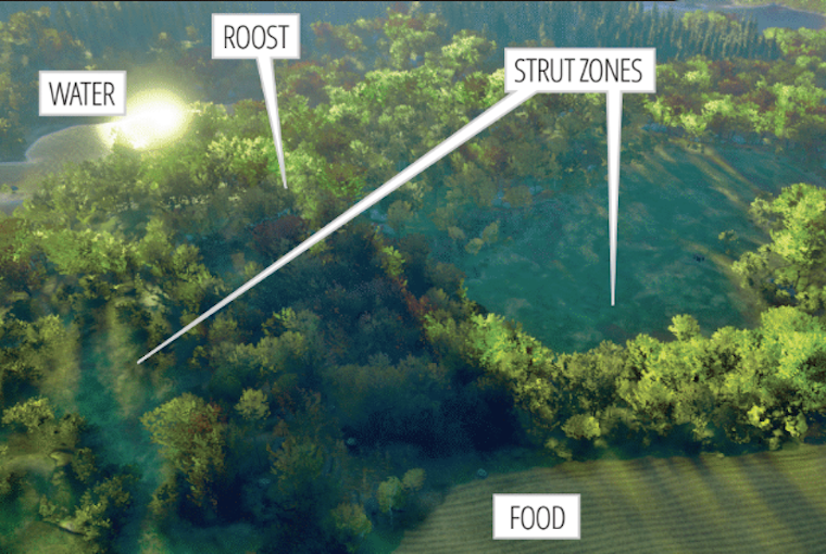 OODMag's tweet photo. These tactics from three seasoned hunters are sure to up your turkey game.  
https://t.co/AqdEpJcIom #Hunting #Fishing #Outdoors #Turkey #WildTurkey #TurkeyTactics #Roosts #StrutZones #SetUps #Decoys #Blinds #Beards #Spurs #OFAHStrong #LongFormJournalism https://t.co/GsJv6GIlN9