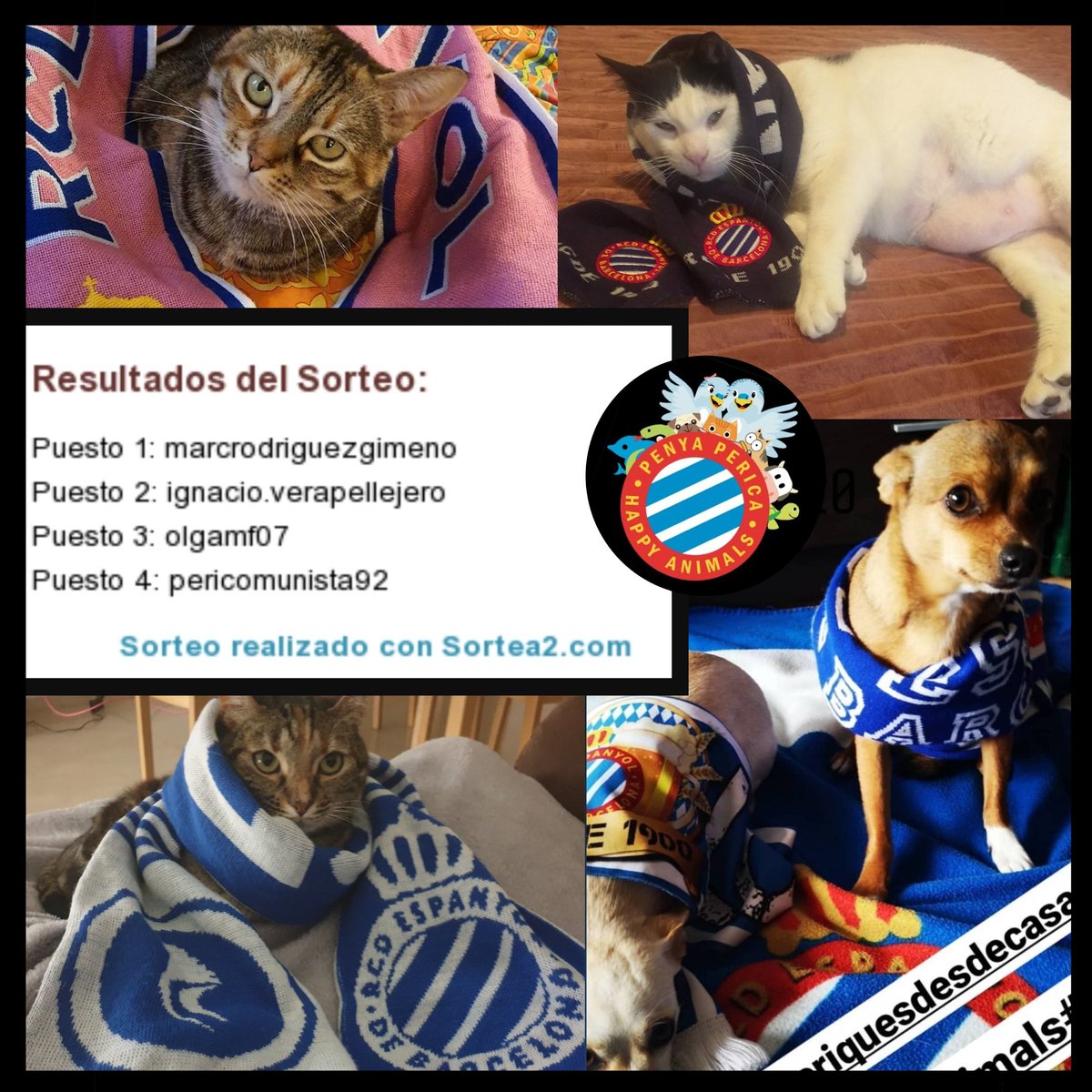 pphappyanimals's tweet photo. Ahir va ser dia 30 i va tenir lloc el sorteig de les 4 tasses i 4 bunfandins de la penya 🤩
El sorteig es va fer amb #Sortea2 i els guanyadors sou 🥁🥁

Marc Rodriguez Gimeno (insta)
Ignacio Vera @VeraPellej 
Olga (insta)
Adri @Pericomunista92 

Felicitats a tots 🎉👏🏼

#rcde 💙 https://t.co/JmfudpMp5y
