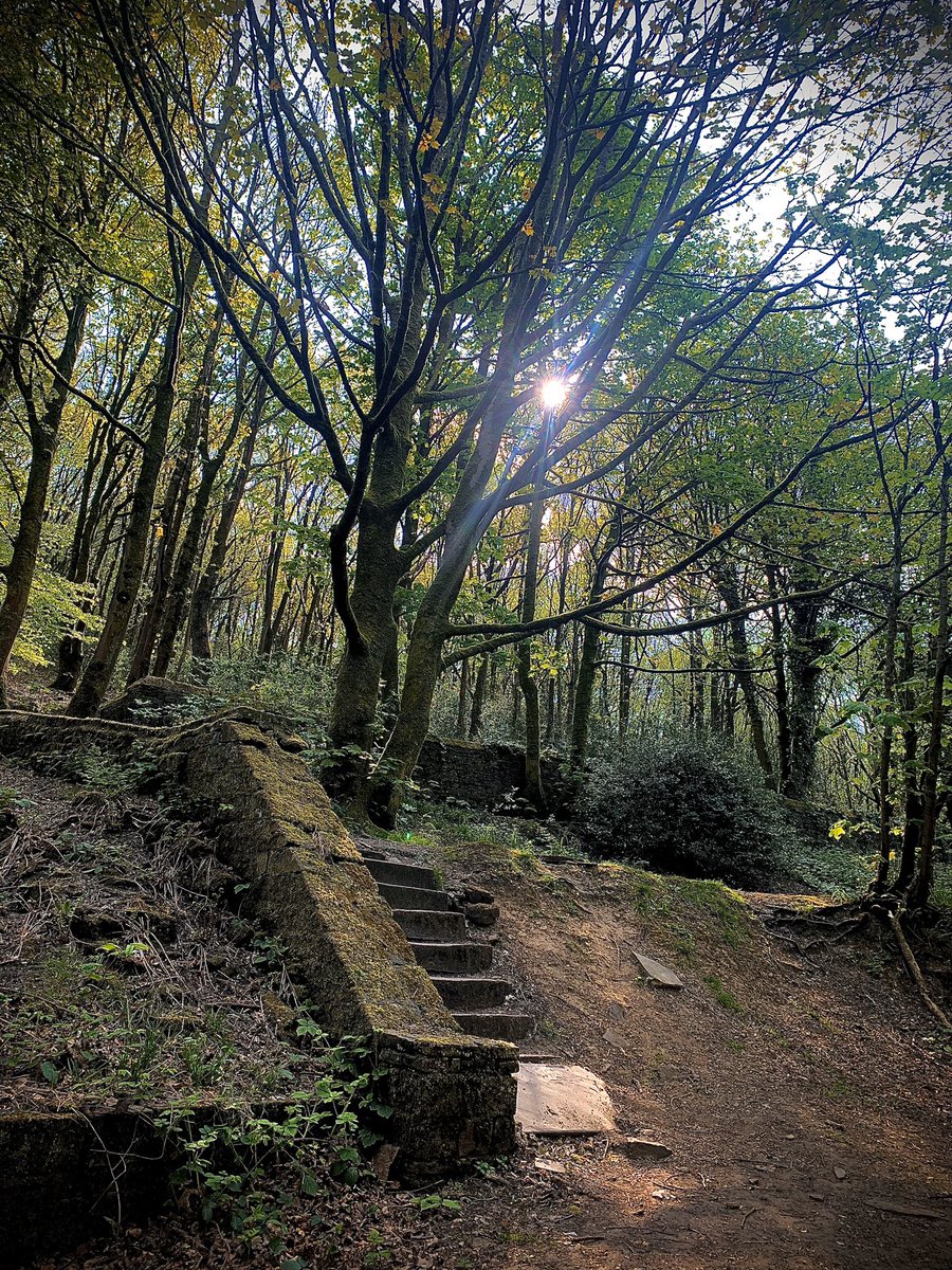 youngofficialuk's tweet photo. Scouted this little spot on my walkies 🚶‍♀️ 

Gonna have a band photoshoot here when lockdown is over 📸

What ya think ? - @IAmChezDavis https://t.co/Ly7JZ1LhgJ