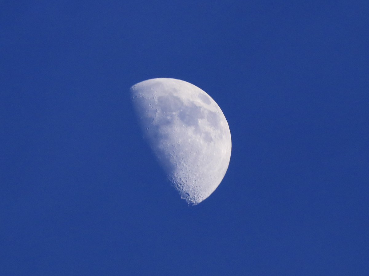 canonman15's tweet photo. Tonight's moon, sitting peacefully up on its own no virus, no lock down, stay in and stay safe.
#lockdown #COVIDIOT #Astrophotography  #StaySafeStayHome  #takecareofyourself  #TakeCare #ASTRO #moon https://t.co/OG0NWU00zi