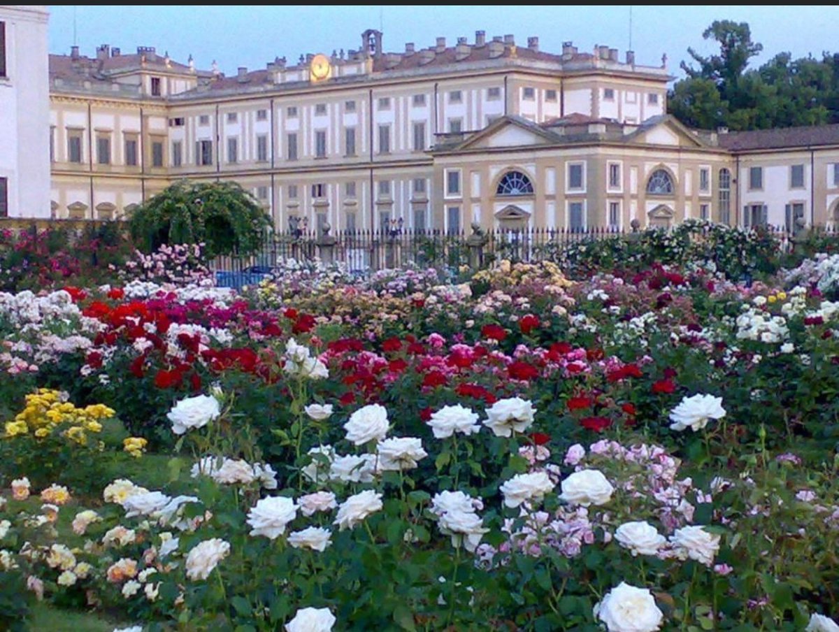 La Casa della Poesia di Monza tweet media