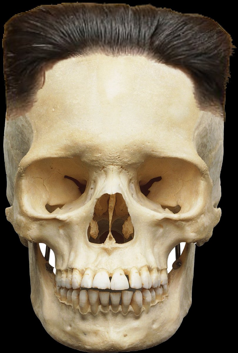 Yep.  I think it's safe to say he's gotten his last rockets off.. 😎🍻😉🤪