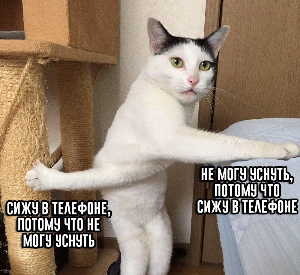 😴
#rt #приколы #шутки #юмор #follow