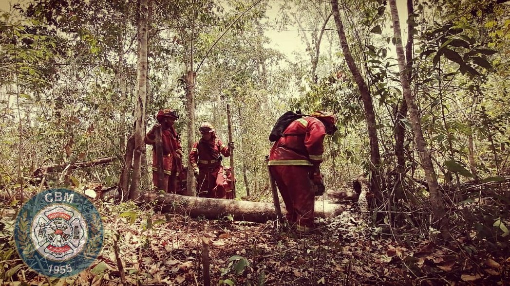 <a href="/bomberosmuni/">Bomberos Municipales</a>
les saluda en el "Día Internacional del Trabajador" y en especial a los compañeros que se encuentran este #DiaDelTrabajo en el departamento de Petén trabajando para controlar un incendio forestal, gracias por su esfuerzo y dedicación.

#1Mayo 
#IncendiosForestales