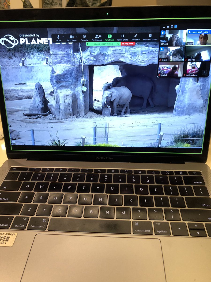 ellamcp92's tweet photo. A few months back we had delved into our @OCDEProjectGLAD ecosystem unit and planned to end the unit by going to the zoo. Well thanks to @sandiegozoo we were still able to go and take a virtual field trip instead! @CajonValleyUSD https://t.co/19C4cDotvD