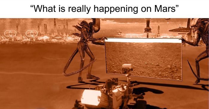 JsdohertyGFNZ's tweet image. 