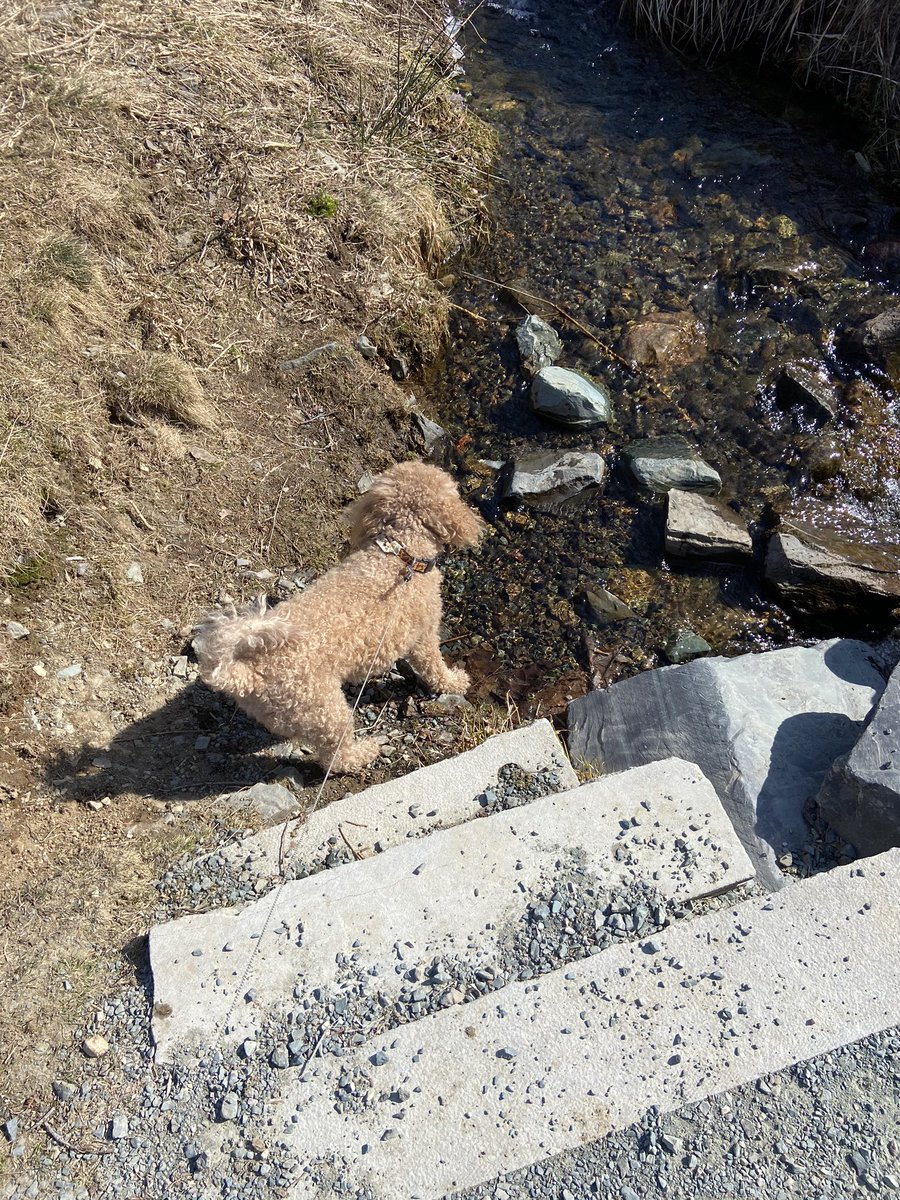 We found our flow today! <a href="/PESICNL/">PESIC</a> <a href="/NLESDCA/">NLESD</a> <a href="/AdmiralsAcad_NL/">Admiral’s Academy Navigators 🏳️‍🌈</a>
