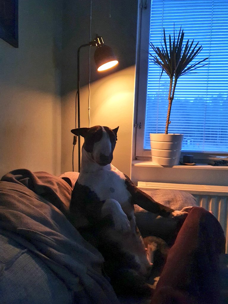 Eagletheone's tweet photo. Filmkväll..... https://t.co/ADSAvPRLaj