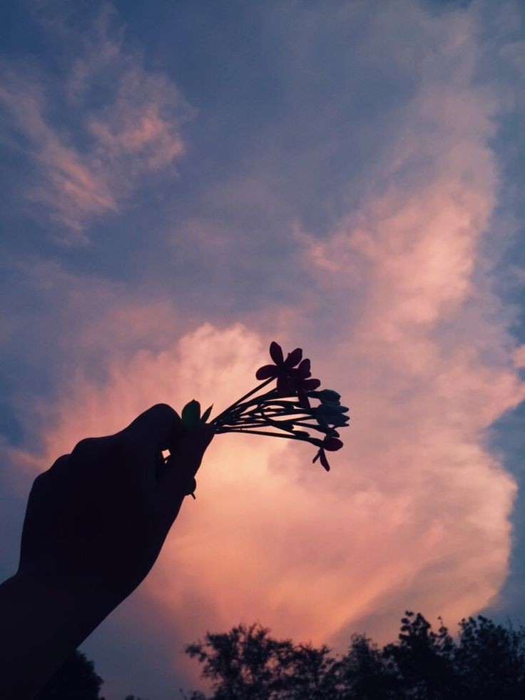 ◉𝙰𝙻𝙾𝙽𝙴◉ tweet media