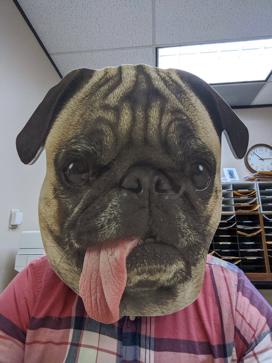 Forget your face mask at work? Improvise with a mask of a pug's face! Notice the full coverage.