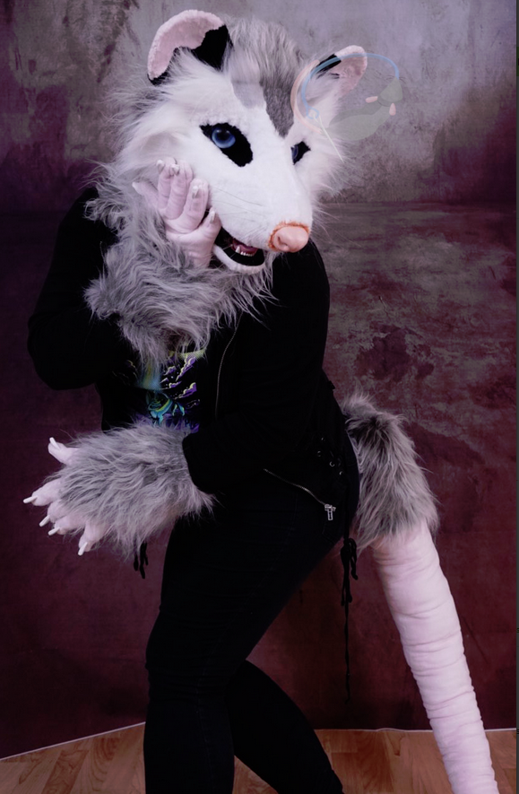 Moon2Umbriel's tweet photo. Brand new possum semi realistic partial suit, only worn for pictures.@TheDealersDen 

Features moving jaw and following eyes: https://t.co/Pm91QYzWU3

#thedealersden #fandom #auction https://t.co/AyJd2VTpxo
