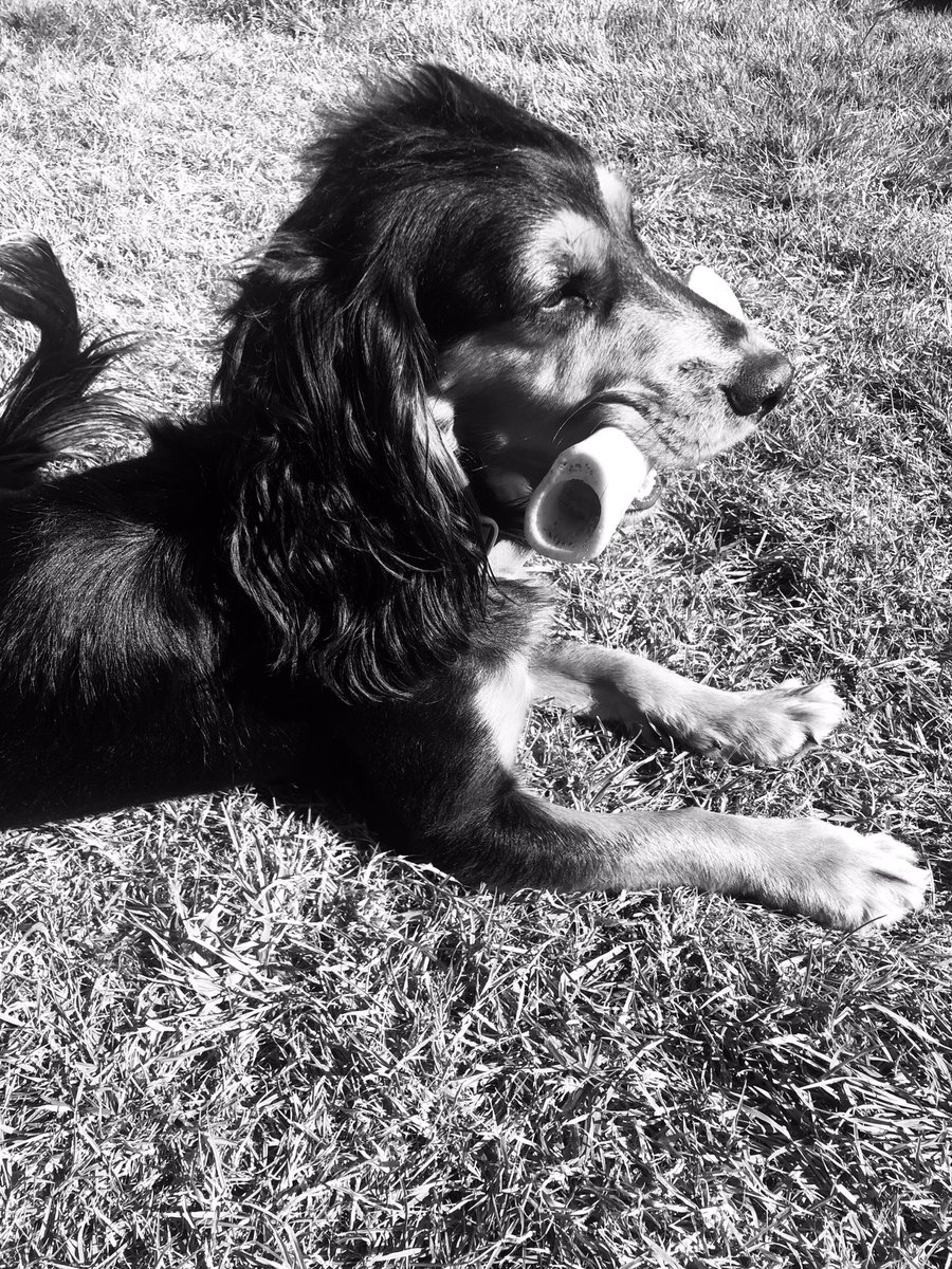 Virtual MAP - Black and white photography