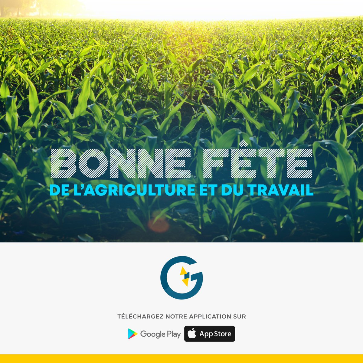Goud_app's tweet photo. Bonne fête de l’agriculture et du travail à vous tous! https://t.co/gZQRHiIJl9