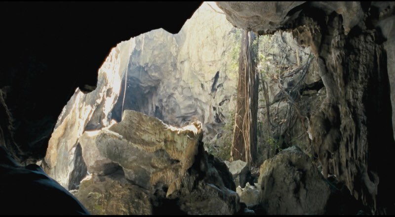 RenoirVulture's tweet photo. Uncle Boonmee who can recall his past lives (2010/Thailand) Apichatpong Weerasethakul’s extraordinarily masterpiece improves with every viewing @NewWaveFilms
#Newwavefilms #weerasethakul https://t.co/P388r0uS2m