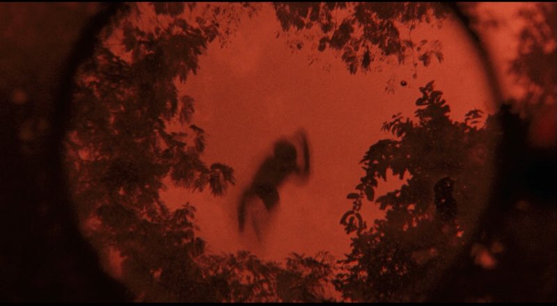 RenoirVulture's tweet photo. Uncle Boonmee who can recall his past lives (2010/Thailand) Apichatpong Weerasethakul’s extraordinarily masterpiece improves with every viewing @NewWaveFilms
#Newwavefilms #weerasethakul https://t.co/P388r0uS2m