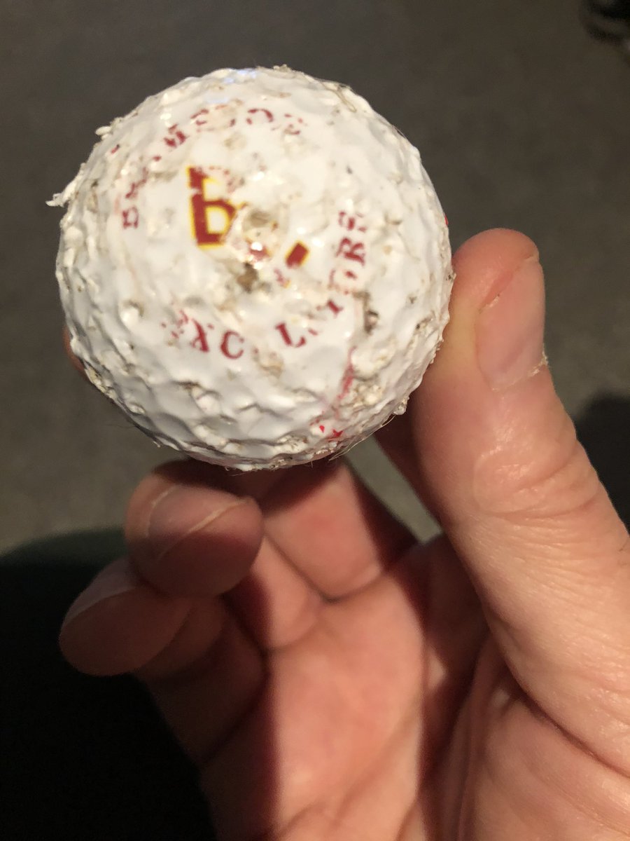BLooney22's tweet photo. Even my dog hates #Brampton. 40 golf balls and he wreaks this one. #Realsmart https://t.co/U3S28WQxdj