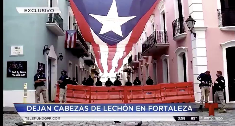 deviIette's tweet photo. Puerto Rican’s protesting #InternationalWorkersDay and Coronavirus related corruption by caravan and dropping off the butchered head of Pigs in front of the Governor’s Mansion steps away from the Police is... so fucking metal. #MayDay #PuertoRico https://t.co/Lpl861HAnn