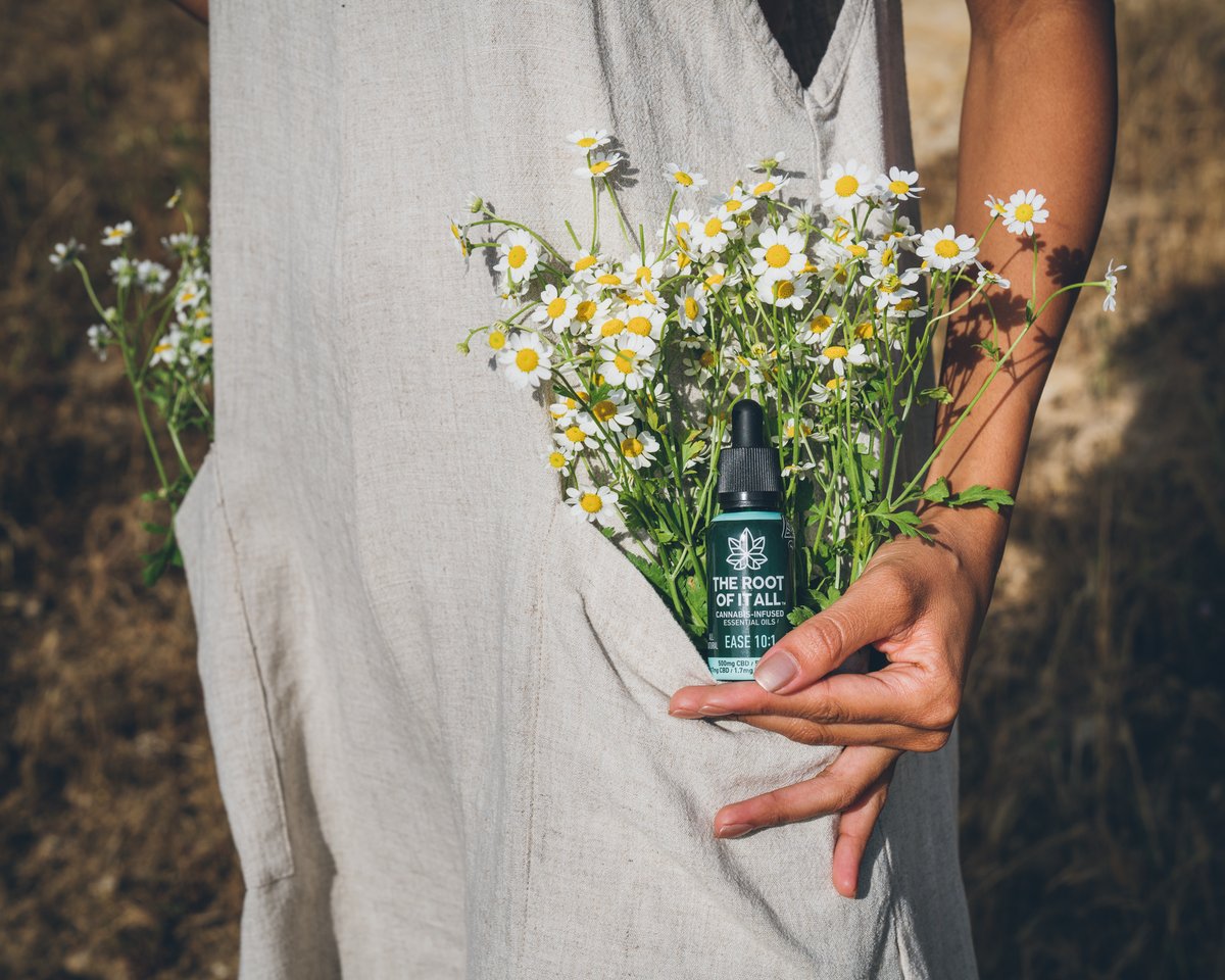 therootofitall's tweet photo. A pocketful of sunshine to end the week? We think so! 

What’s your go-to activity to de-stress? https://t.co/GoHl8qWcpv