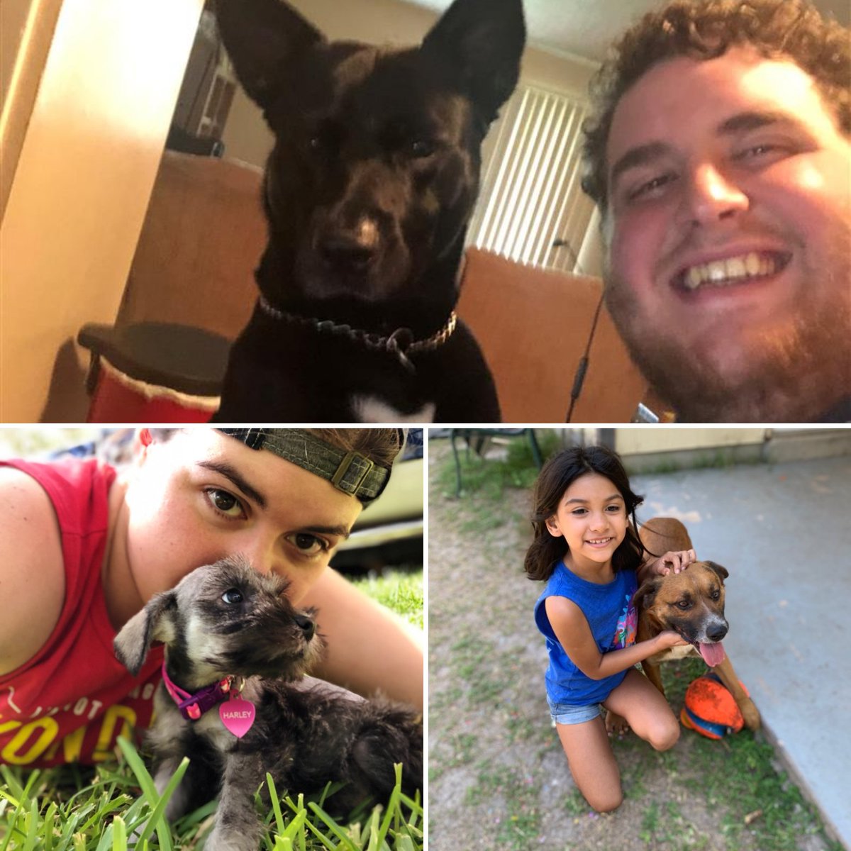 UTSAGradSchool's tweet photo. There's still time to participate in the #UTSAFirstFriday giveaway 🐾 post a photo with your furry friends and tag us 🤙🏼 https://t.co/hE9ybq5xOb
