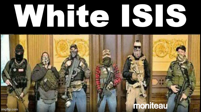 FMoniteau's tweet image. #MichiganTerrorists #MichiganProtest