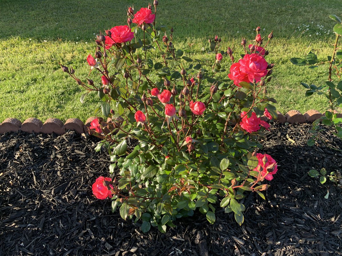 mkeithsmith's tweet image. 