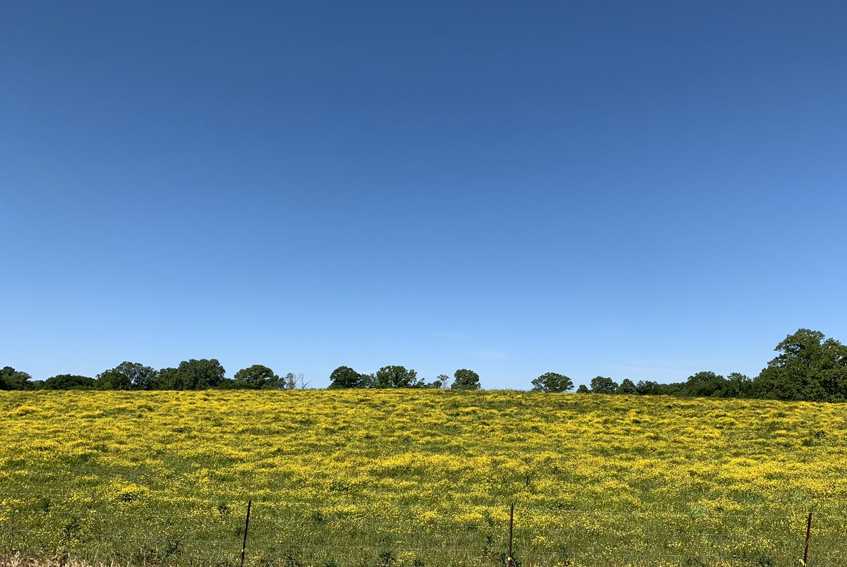 mkeithsmith's tweet image. 