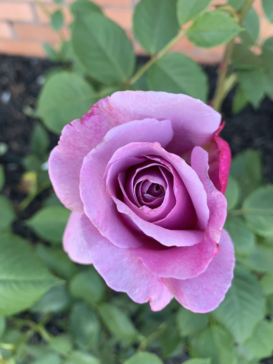 mkeithsmith's tweet image. 