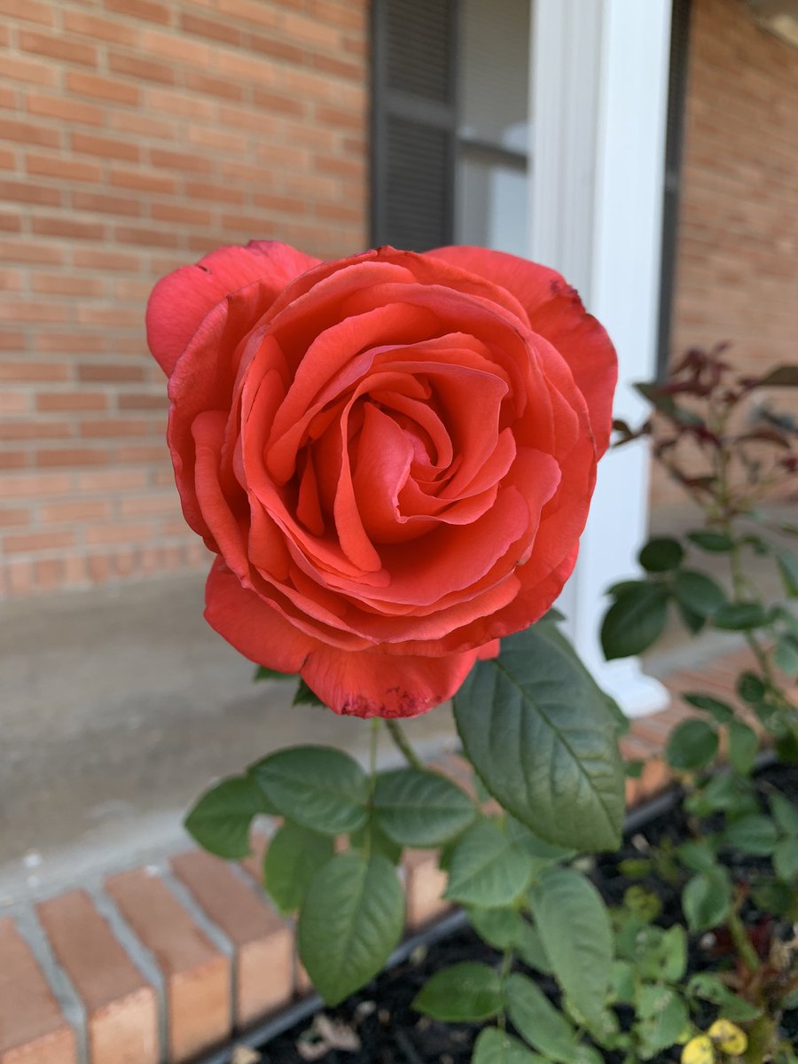 mkeithsmith's tweet image. 