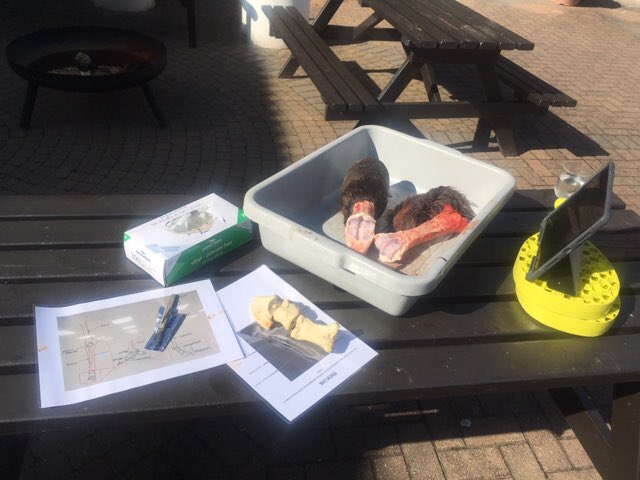 Millfield MAP (@millfieldmap) on Twitter photo Virtual dissection MAP - not even Covid-19 can stop Miss Weal getting something out the freezer...<a href="/MillfieldSenior/">Millfield School</a> <a href="/MillfieldBio/">Millfield Biology</a> Virtual dissection MAP - not even Covid-19 can stop Miss Weal getting something out the freezer...<a href="/MillfieldSenior/">Millfield School</a> <a href="/MillfieldBio/">Millfield Biology</a>