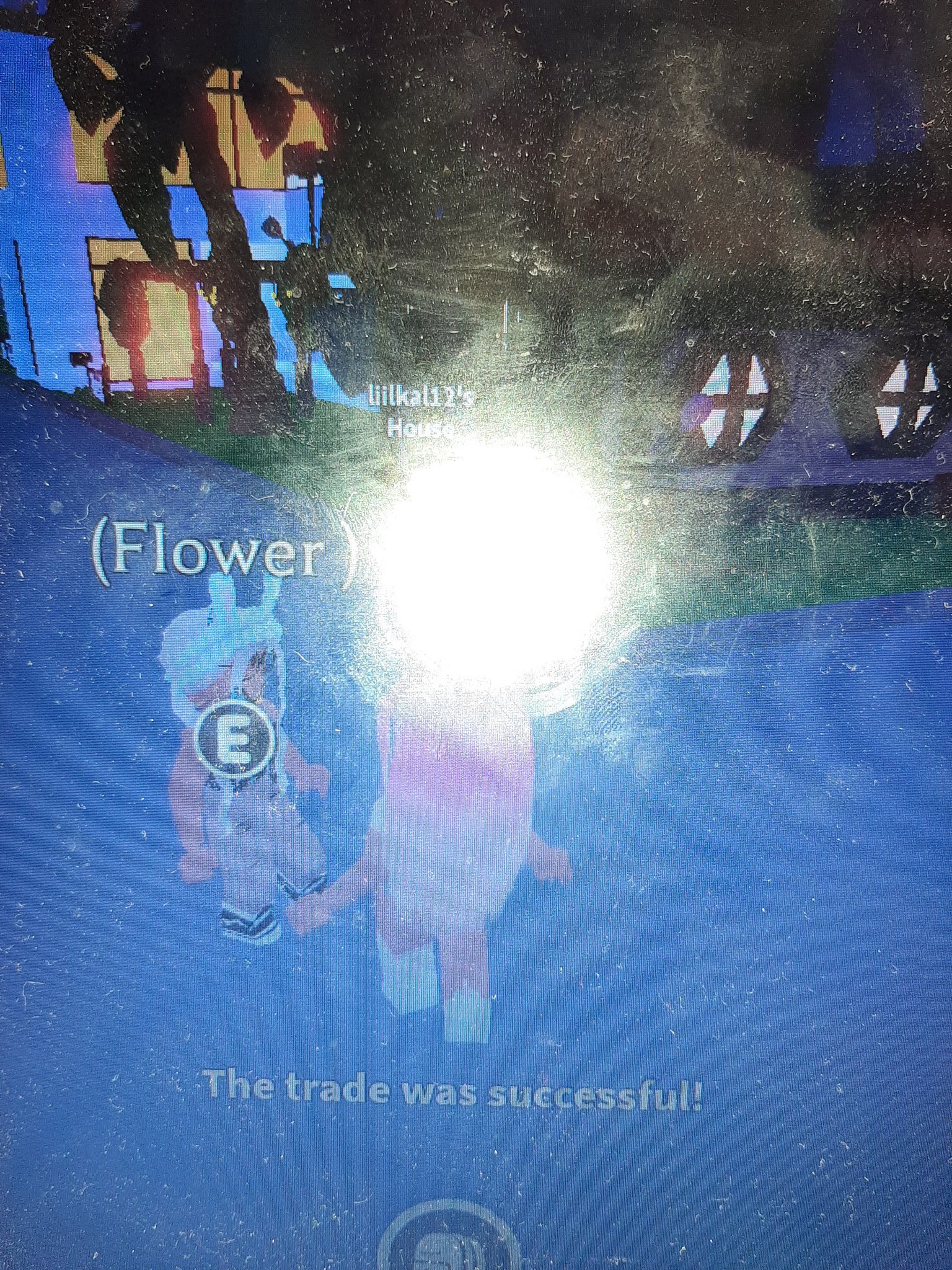 Lol on X: Trading 1000 Robux for broom! #Adoptmetrades