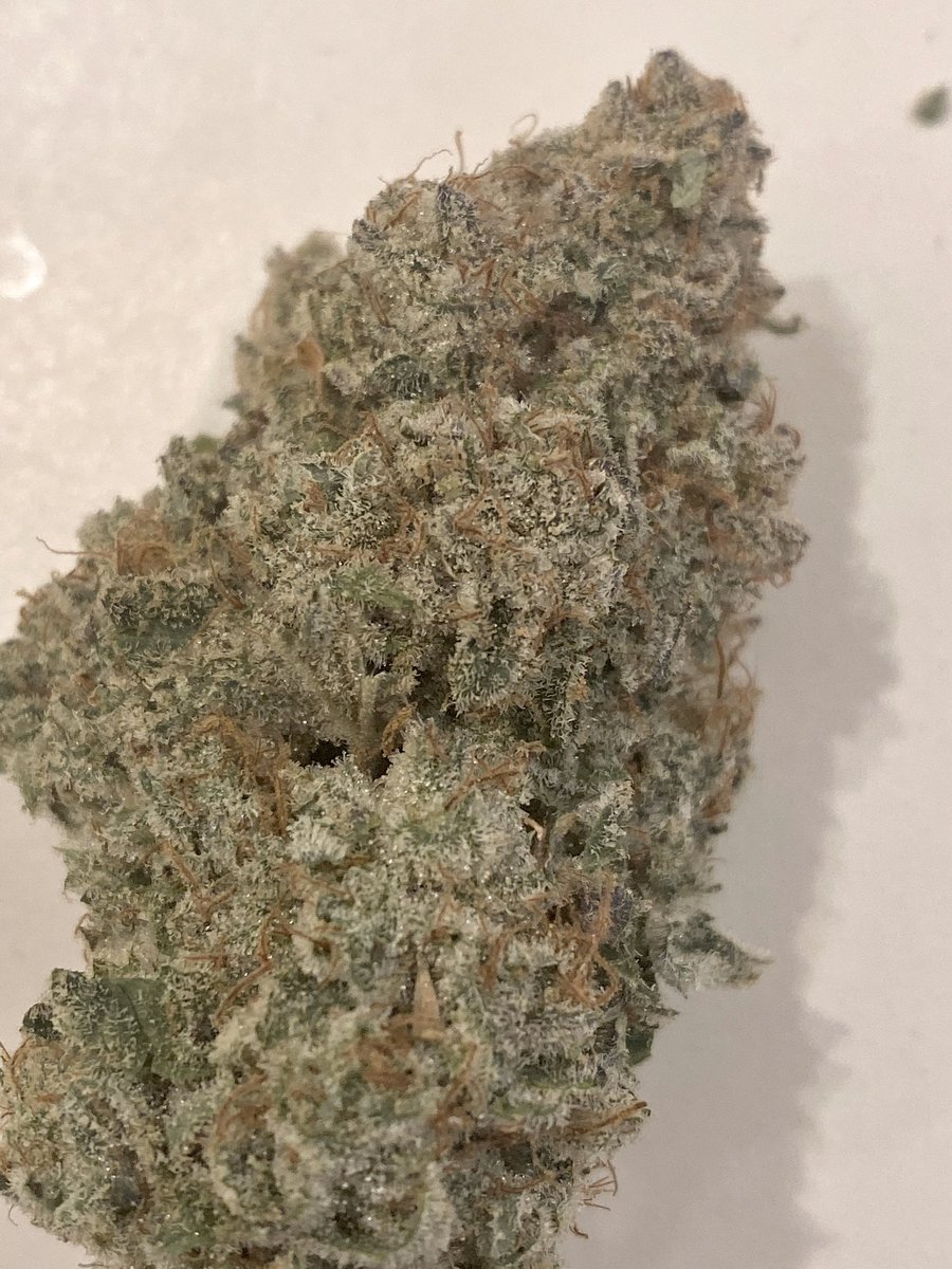 QUANTUM 1 CANNABIS tweet media