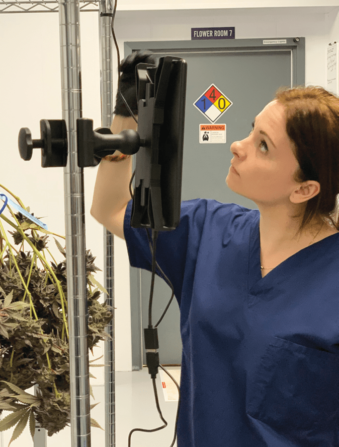 CannabisTrackin's tweet photo. Ditch the WIRES with #GeoShepard.  10,000 plants harvested and data in #METRC in a single day.  If that is too slow, check out our SPEED Bundle! https://t.co/lLoUwVmCzj
