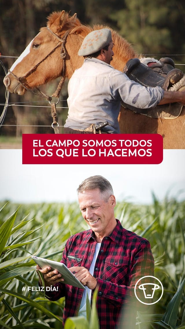 Feliz Día!